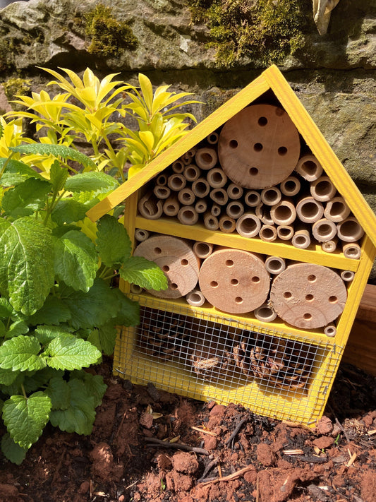 Got a little person that loves to garden? How about making a sensory garden?