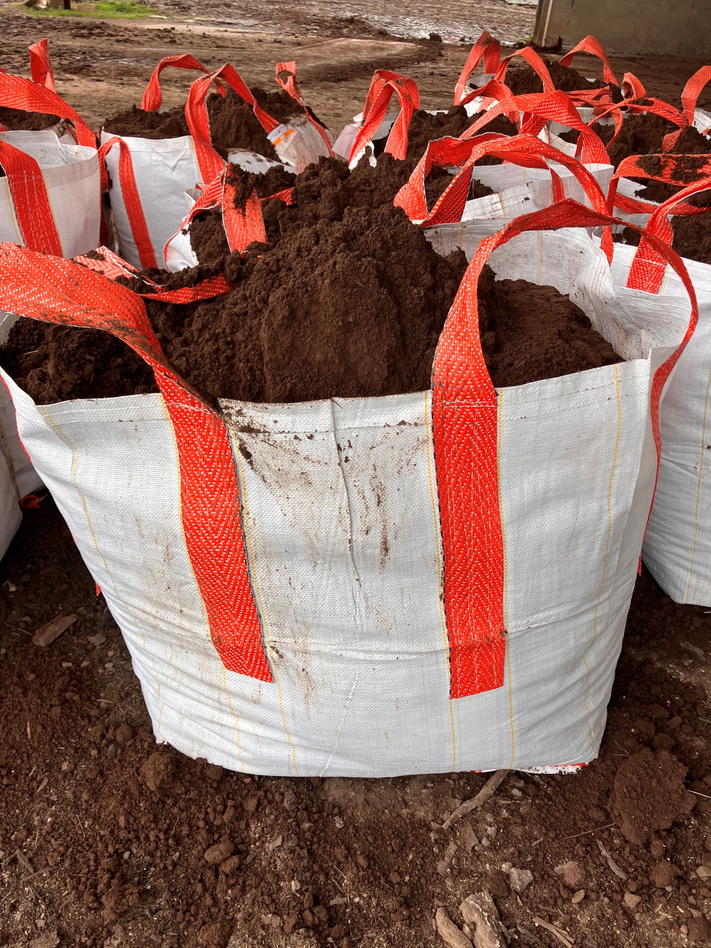 Commix (compost/topsoil mix)