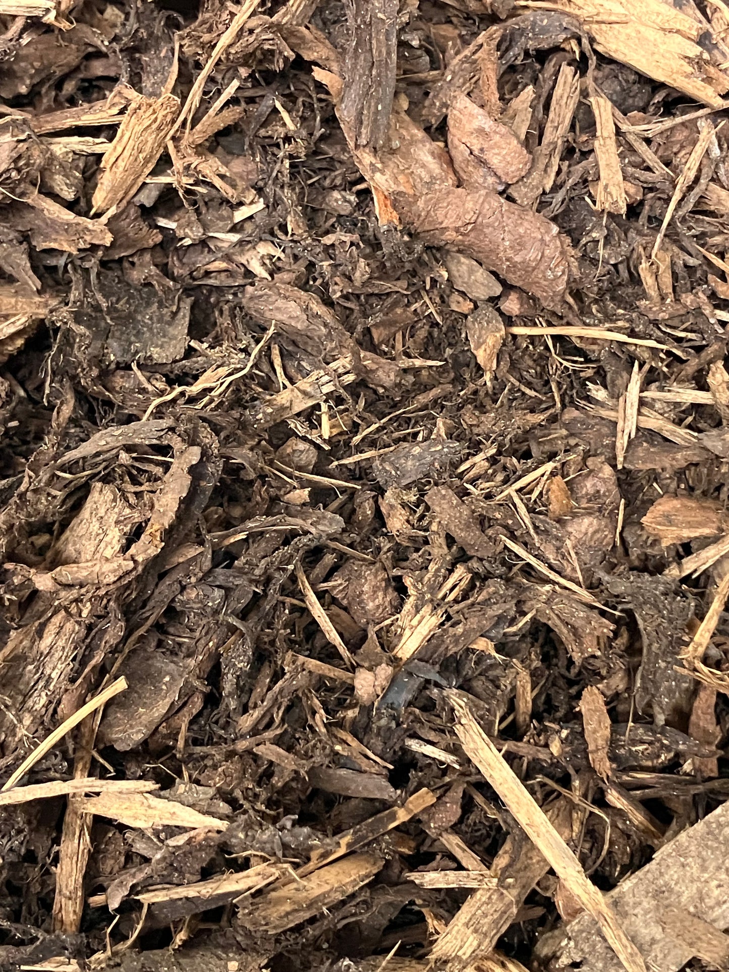 Dumpy - Decorative Bark